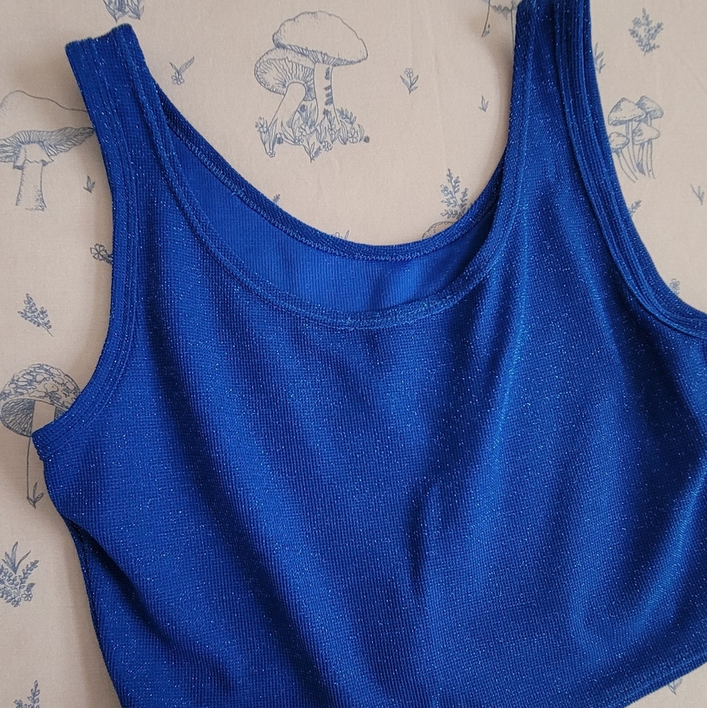 Sparkly Blue Crop Top